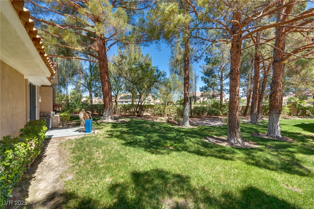 8541 Heather Downs Drive Las Vegas, NV 89113 - Photo 38 of 39 View of grassy yard