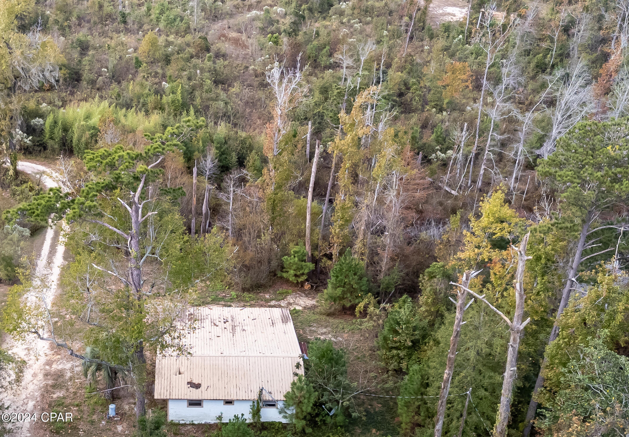 4073 Little Dothan Road Sneads, FL 32460 - Photo 13 of 31