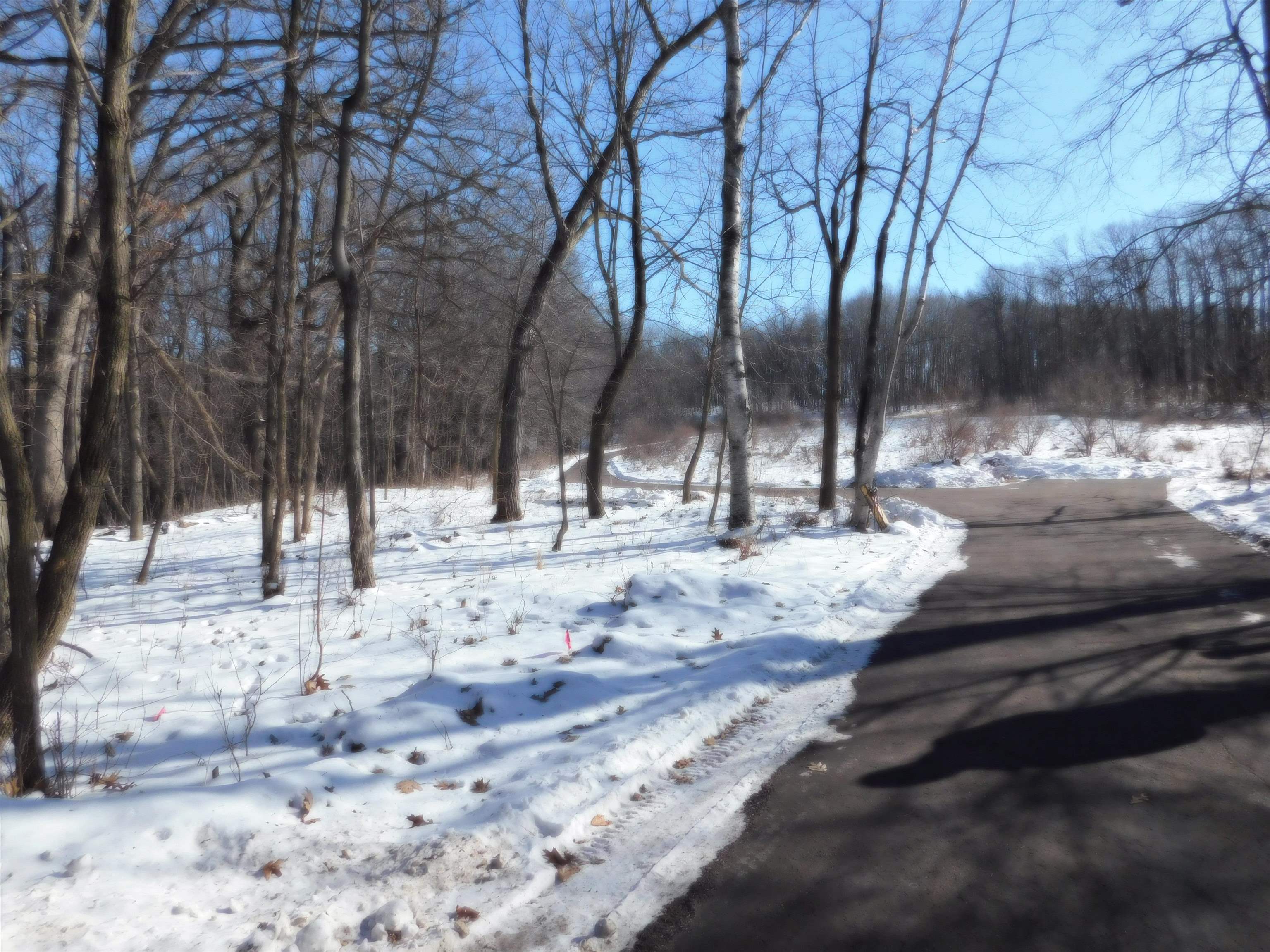 E2392 South Dutch Hollow Road La Valle, WI 53941 - Photo 6 of 32