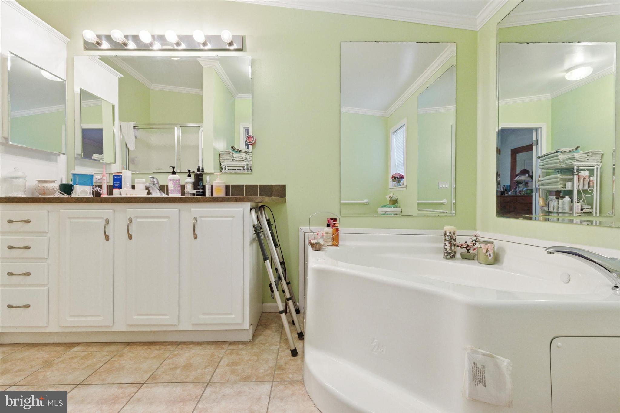 81 Random Road Douglassville, PA 19518 - Photo 21 of 31 a bathroom with a sink and a mirror
