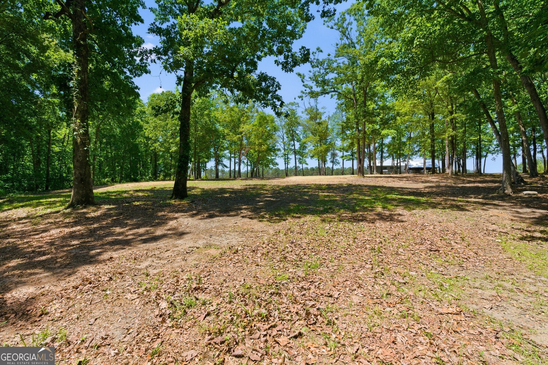 5938 Ridgeway Road Franklin, GA 30217 - Photo 41 of 41 a fire hydrant in the middle of a field