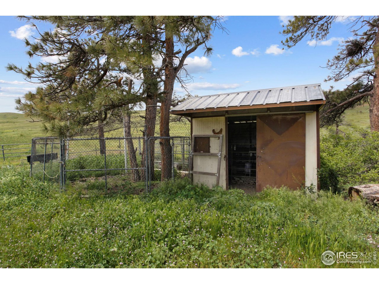 2657 Parrish Road Berthoud, CO 80513 - Photo 37 of 40 Chicken coop