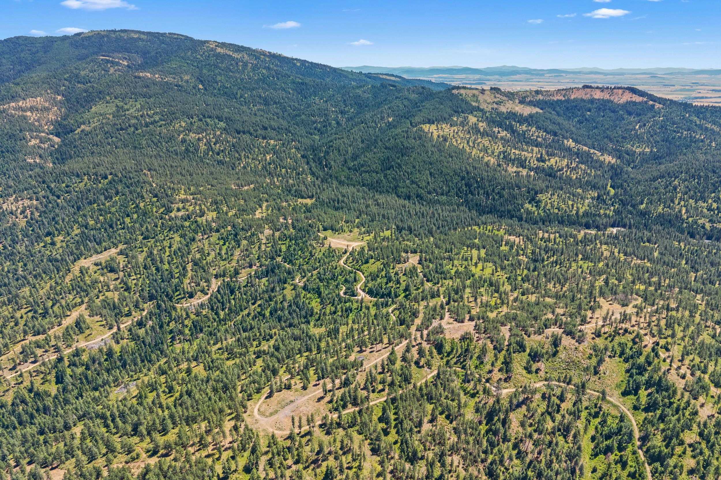 Nka East Belmont Road, Unit PARCEL B Greenacres, WA 99016 - Photo 13 of 16