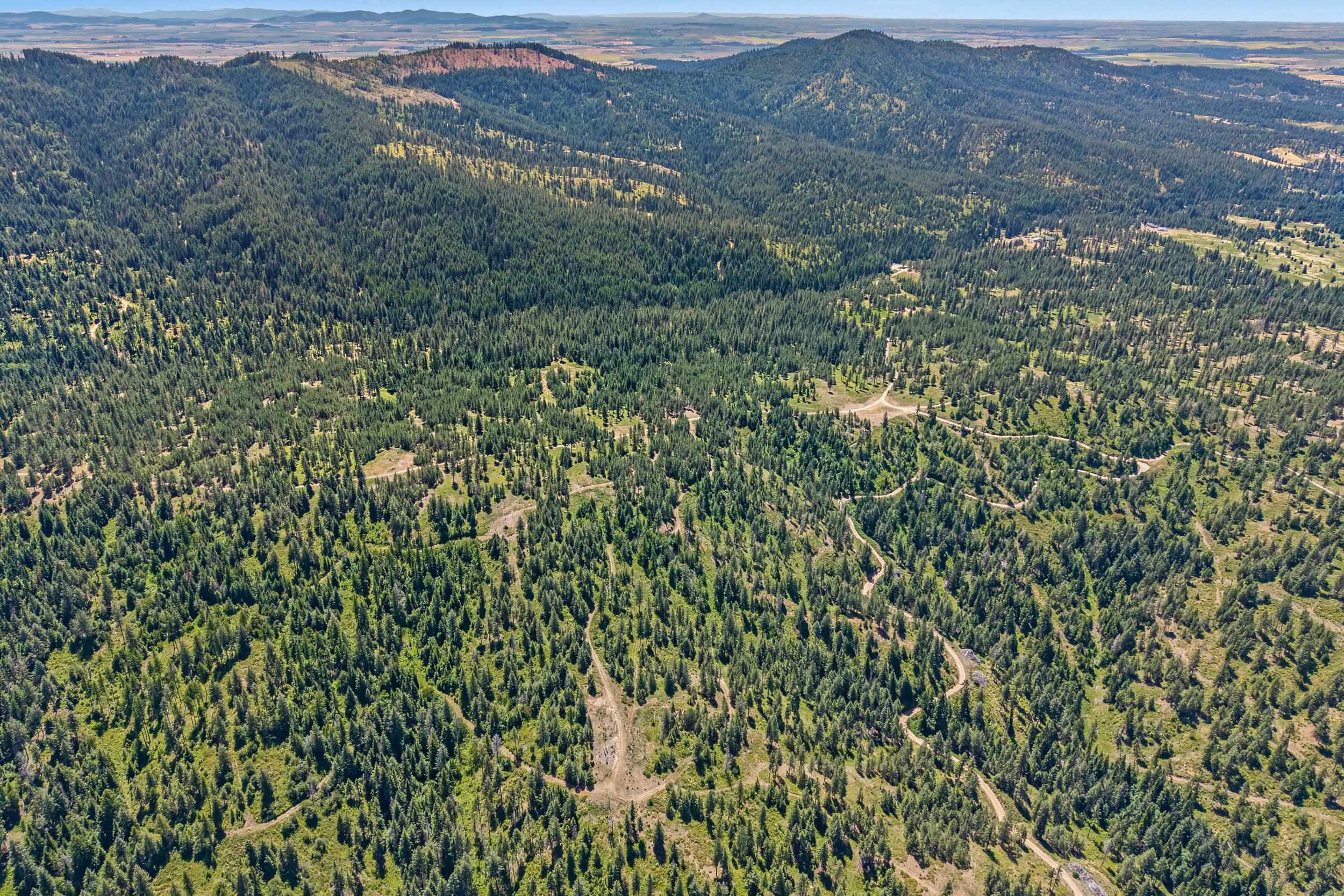 Nka East Belmont Road, Unit PARCEL B Greenacres, WA 99016 - Photo 14 of 16