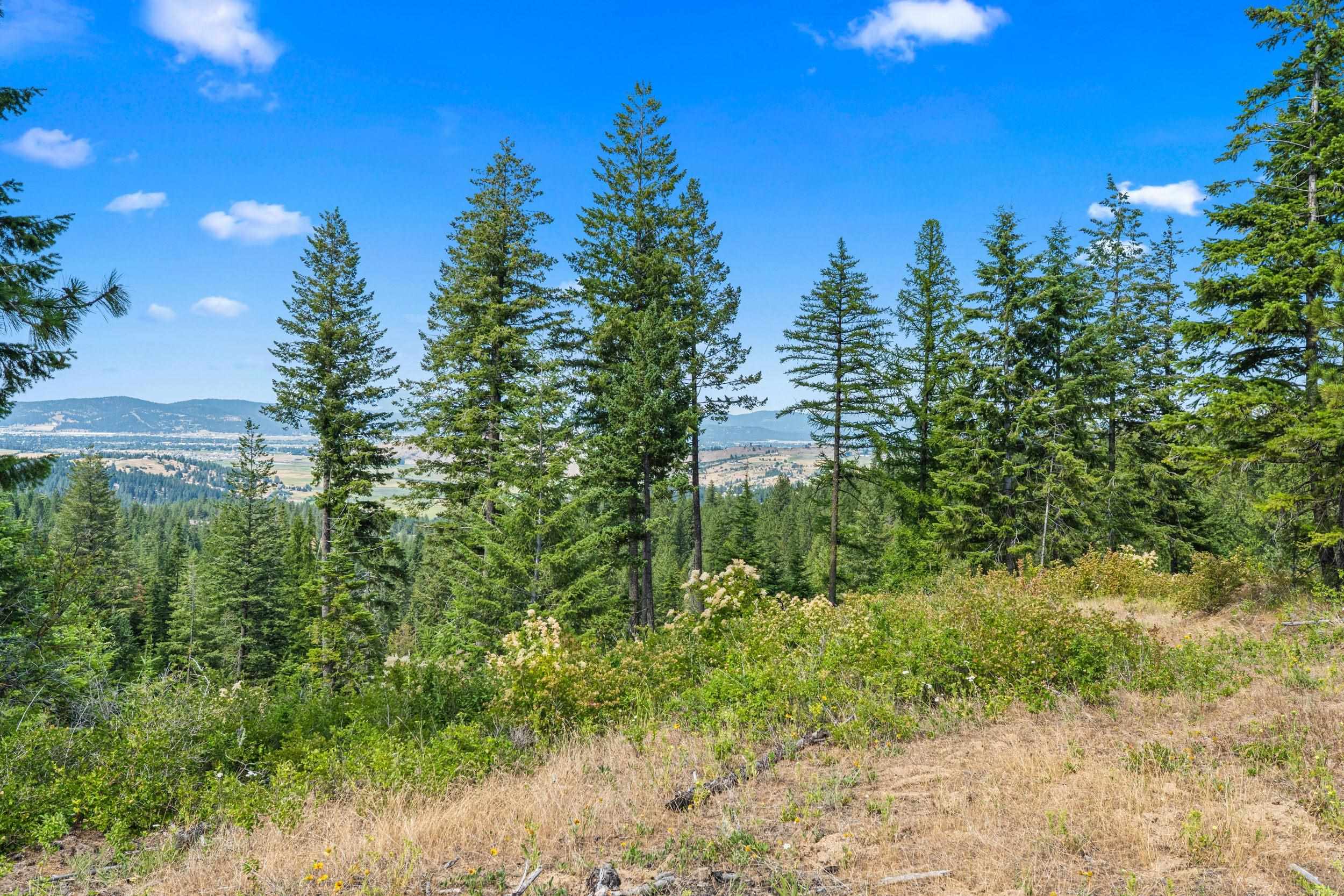 Nka East Belmont Road, Unit PARCEL B Greenacres, WA 99016 - Photo 4 of 16