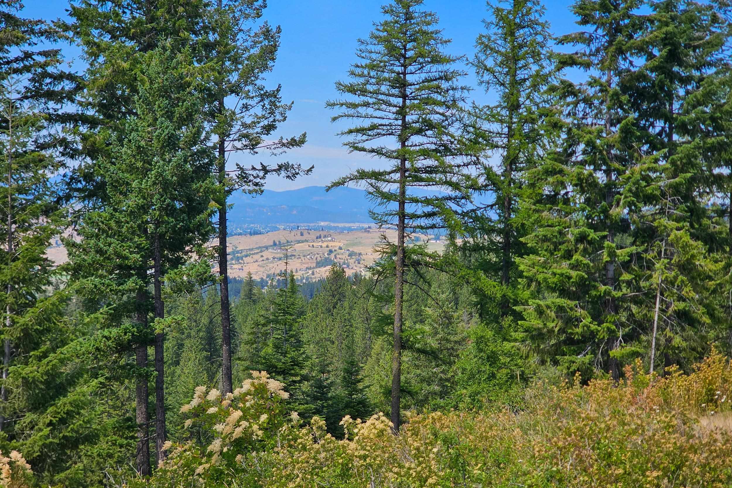 Nka East Belmont Road, Unit PARCEL B Greenacres, WA 99016 - Photo 5 of 16