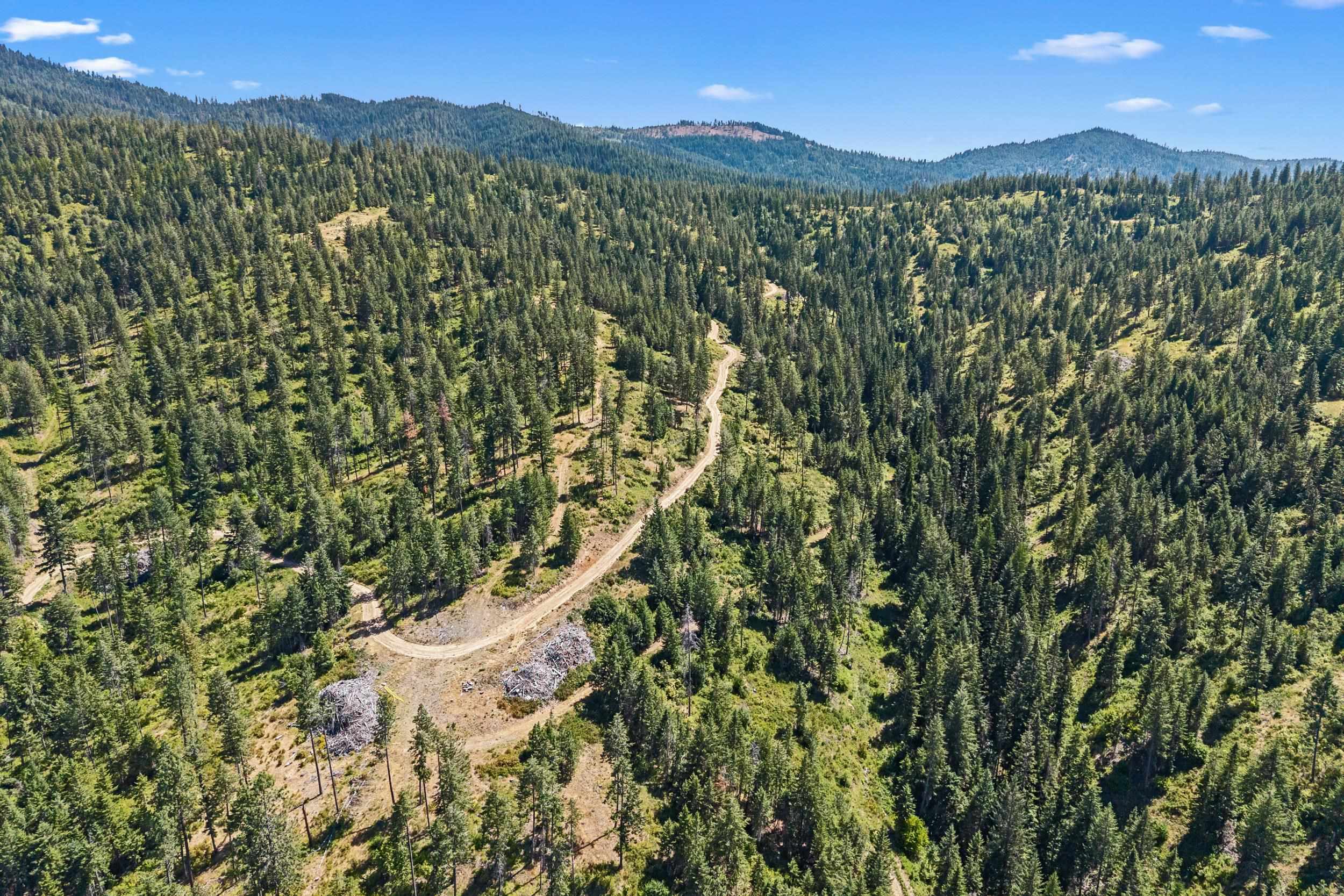 Nka East Belmont Road, Unit PARCEL B Greenacres, WA 99016 - Photo 7 of 16