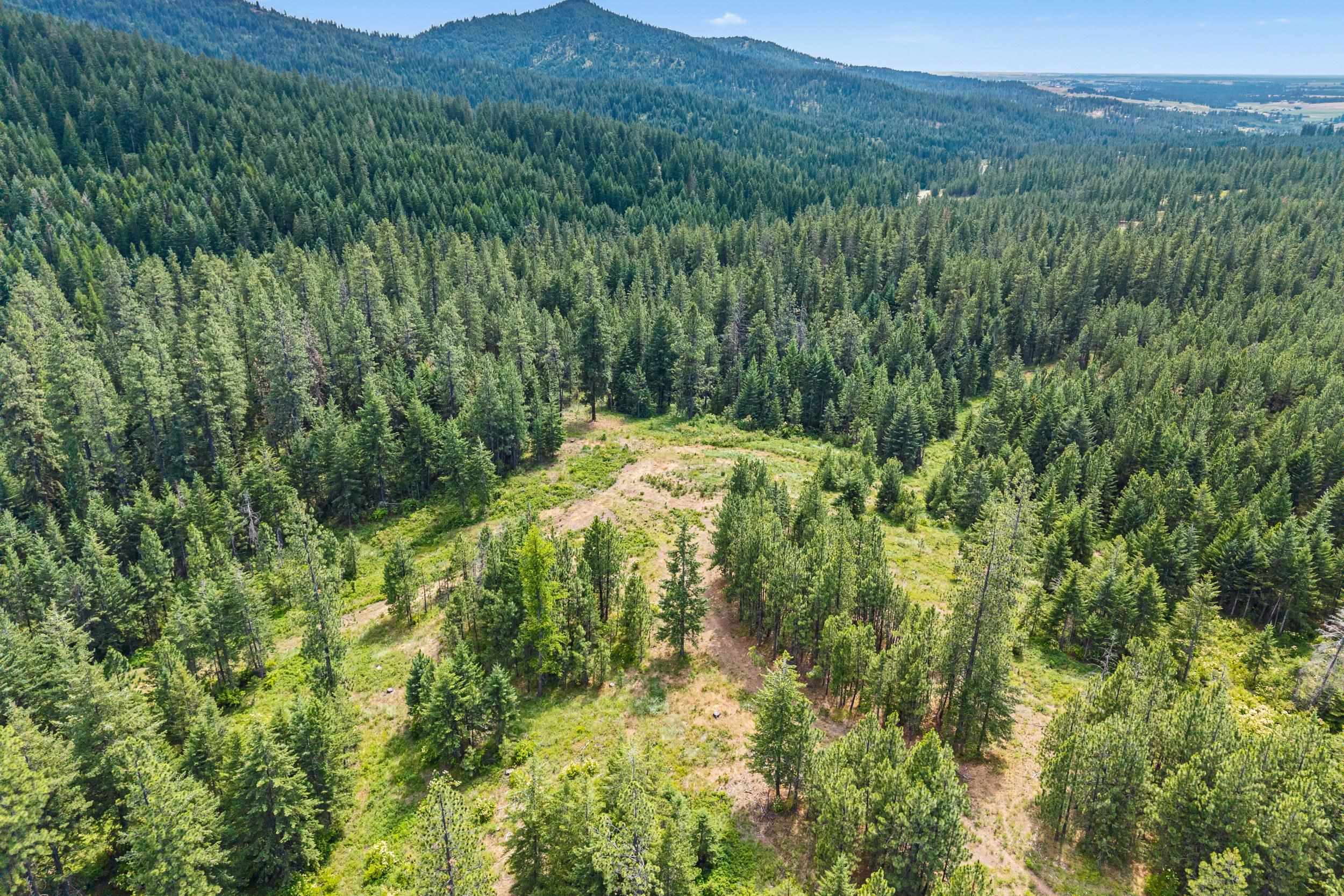 Nka East Belmont Road, Unit PARCEL B Greenacres, WA 99016 - Photo 9 of 16