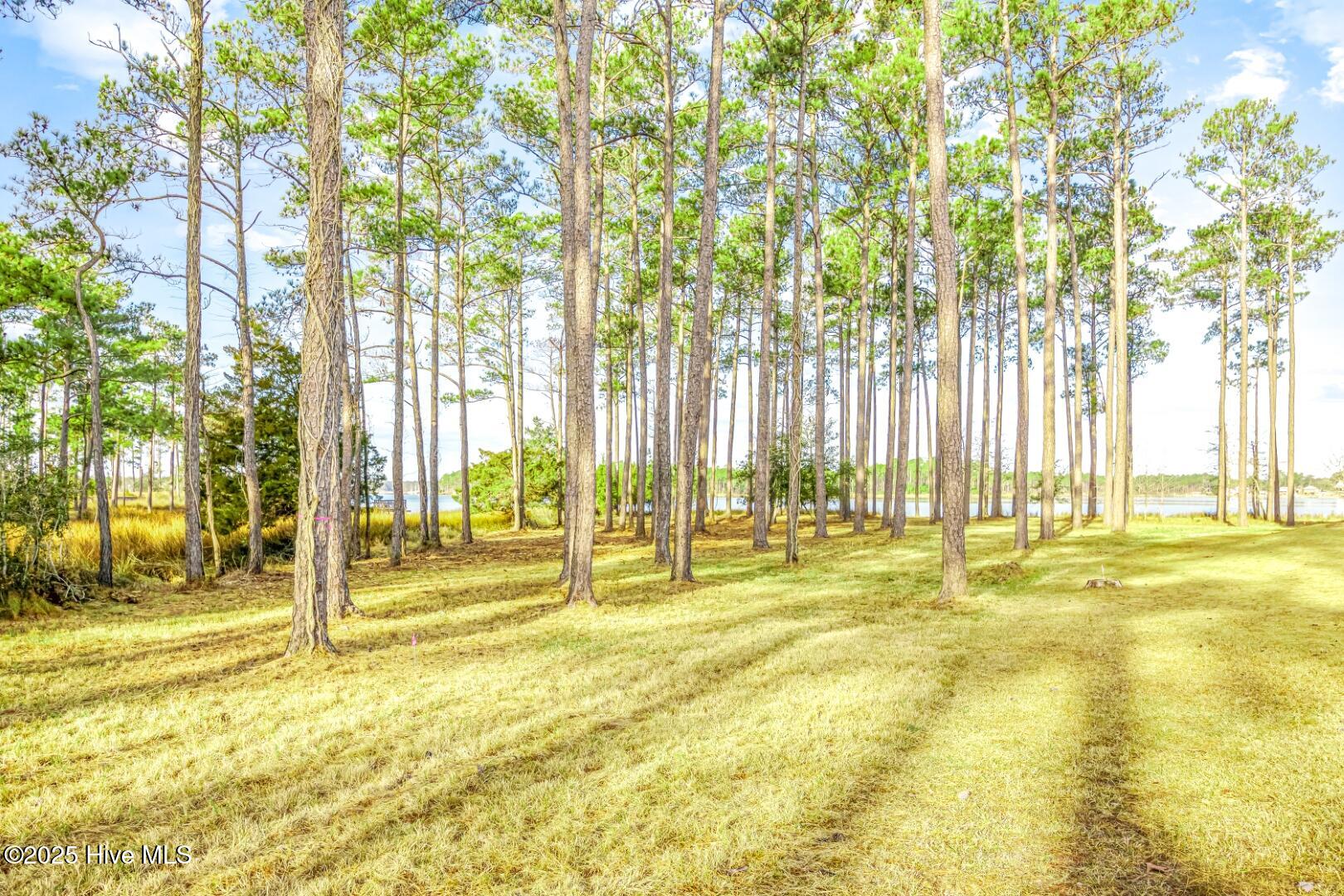 241 Oyster Point Road Oriental, NC 28571 - Photo 11 of 53 241 Oyster Point (4)