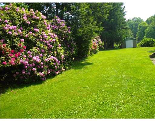 5554 Gibson Road Gibsonia, PA 15044 - Photo 4 of 18 Land/Lot. Rododenderons lining front left side of property. Shed: 1 of 4 out buildings.