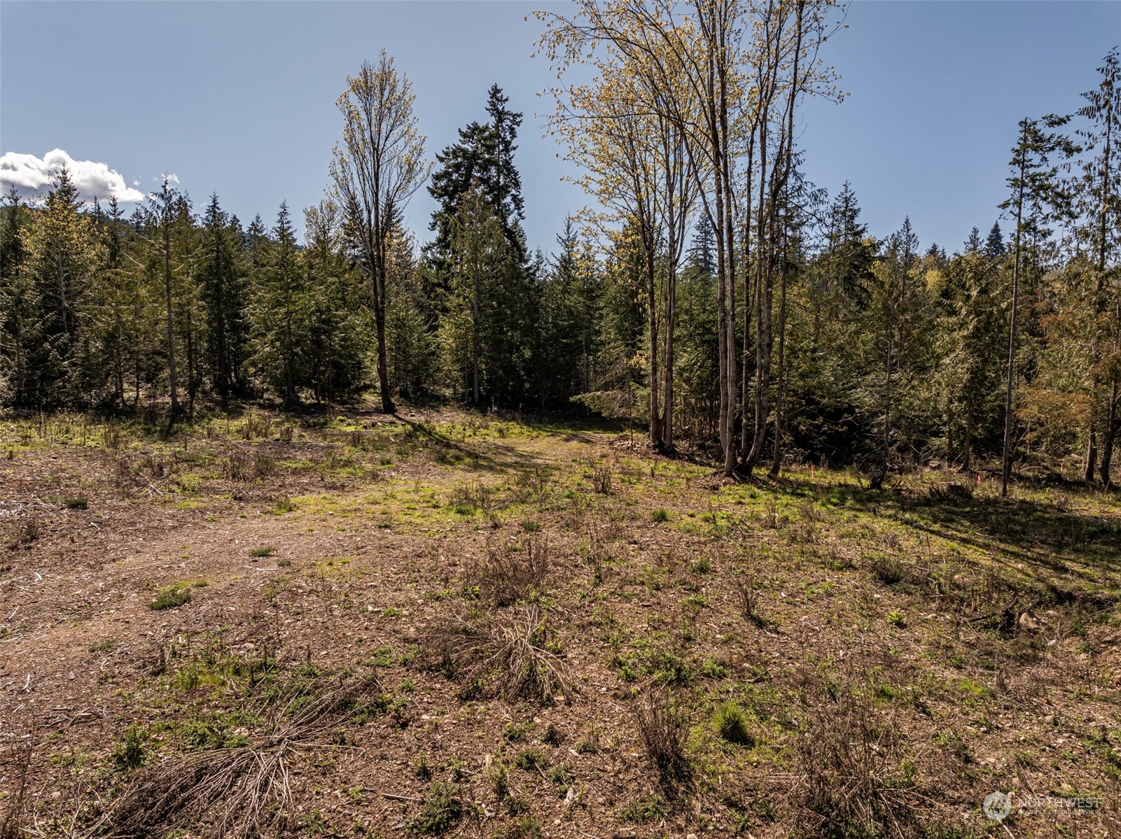 5013 South Doss Road Port Angeles, WA 98362 - Photo 8 of 22 Gallery Image 8