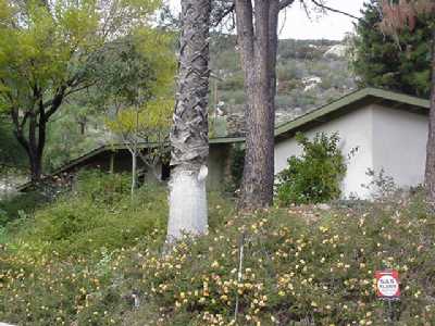 1705 Foothill Road Ojai, CA 93023 - Photo 1 of 1 a backyard of a house with lots of green space