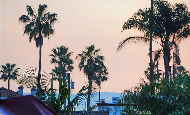 an ocean view with palm trees