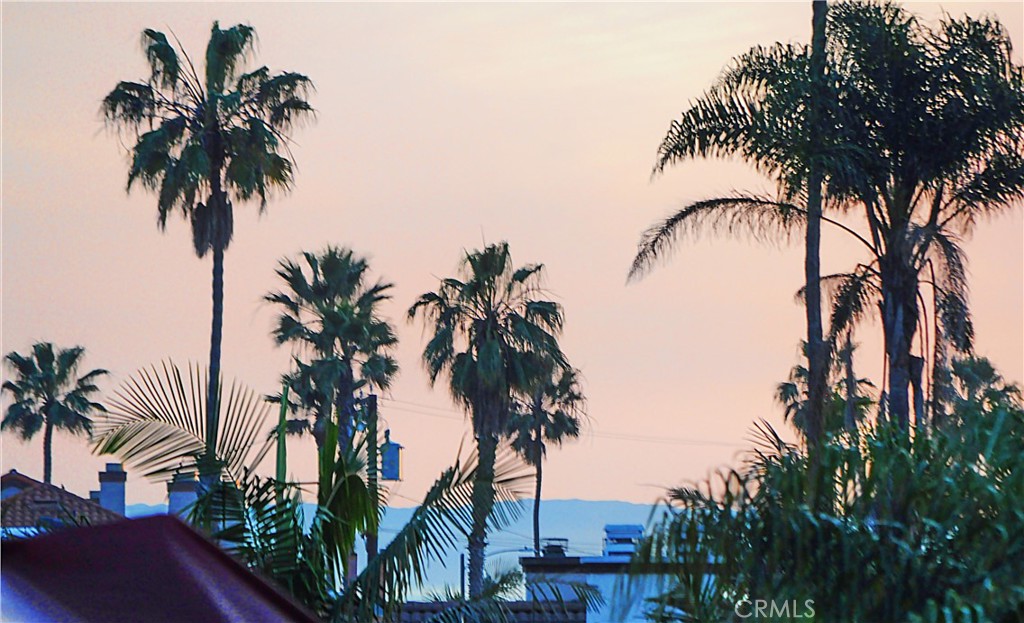 320 15th Street Huntington Beach, CA 92648 - Photo 42 of 49 an ocean view with palm trees