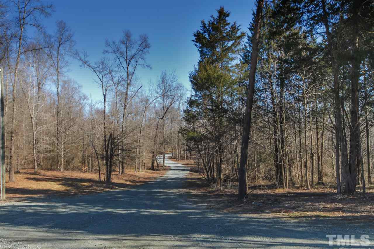 Tree-Lined Driveway