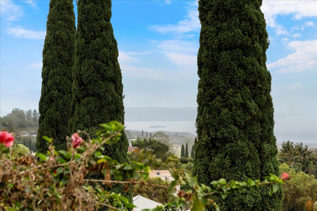 119 Ka Drive Kula, HI 96790 - Photo 14 of 45