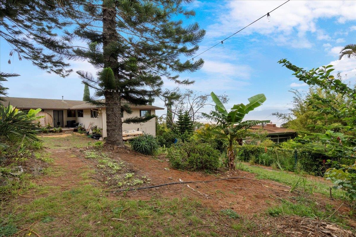 119 Ka Drive Kula, HI 96790 - Photo 35 of 45 a view of a house with a tree