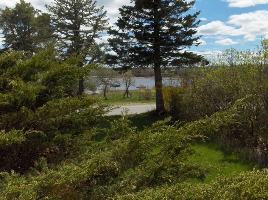 76 Bay View Road Milbridge, ME 04658 - Photo 19 of 22 View of town Harbor from rear deck