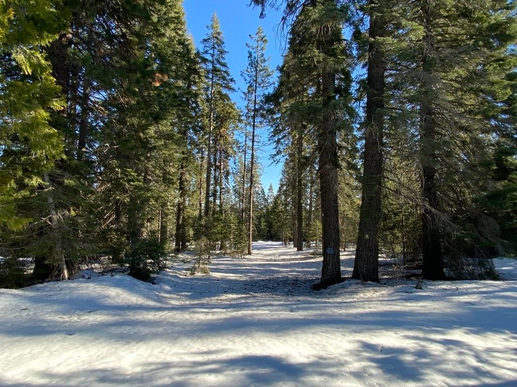 4-e-25 Ridge Drive McCloud, CA 96057 - Photo 10 of 18 Gallery Image 10
