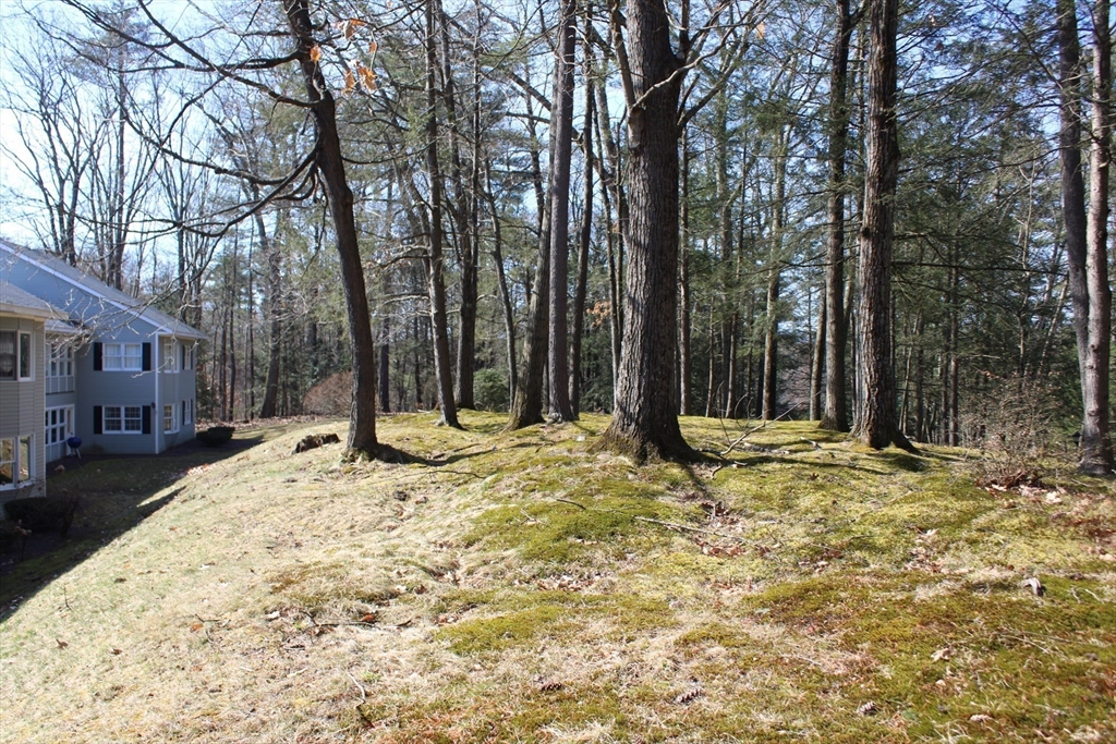 102 Country Road, Unit 102 Greenfield, MA 01301 - Photo 4 of 26 Gallery Image 4