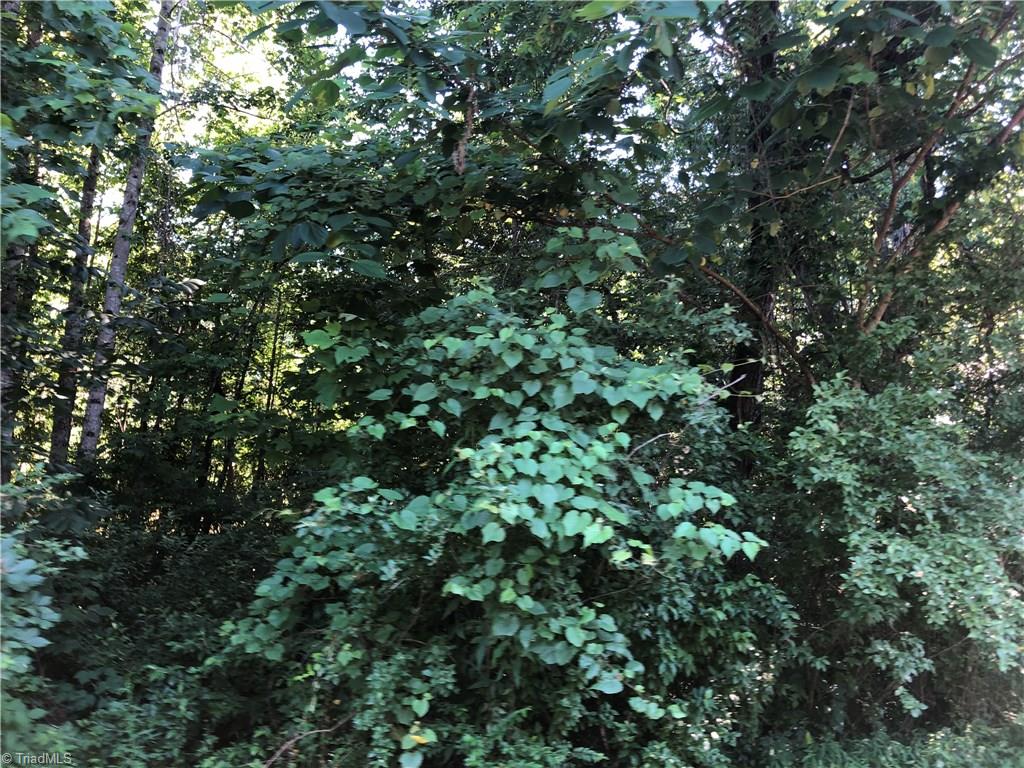 0 Griffin Road Madison, NC 27025 - Photo 5 of 8