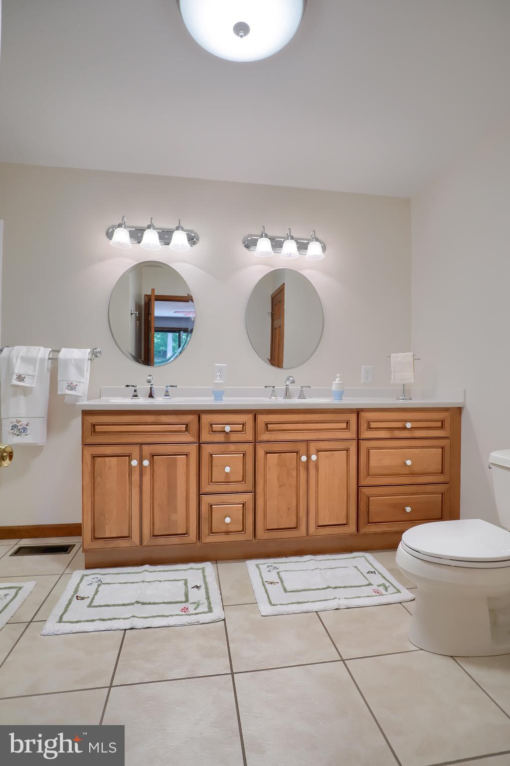 17 Harry Avenue Reading, PA 19607 - Photo 46 of 53 Master Bathroom