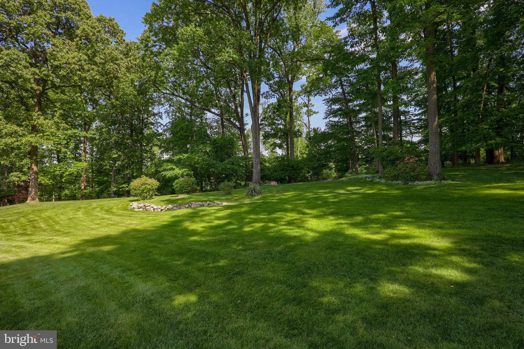 17 Harry Avenue Reading, PA 19607 - Photo 9 of 53 Yard