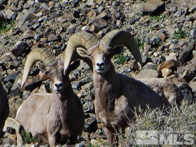 a view of mountain and a lake view