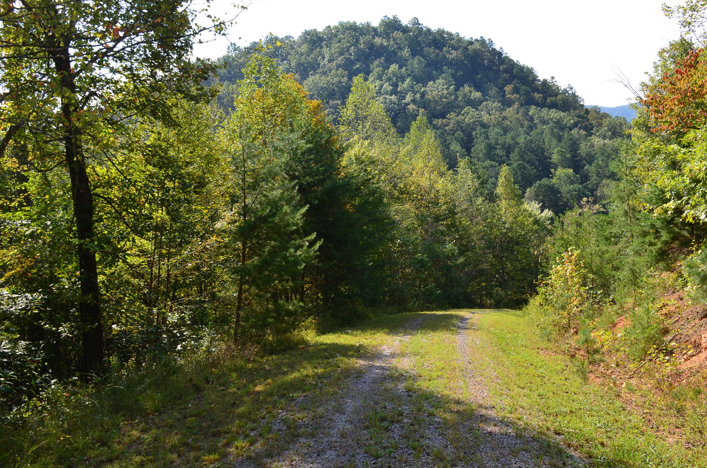 0 West Poor Valley Road Rogersville, TN 37857 - Photo 3 of 40 DSC_0215
