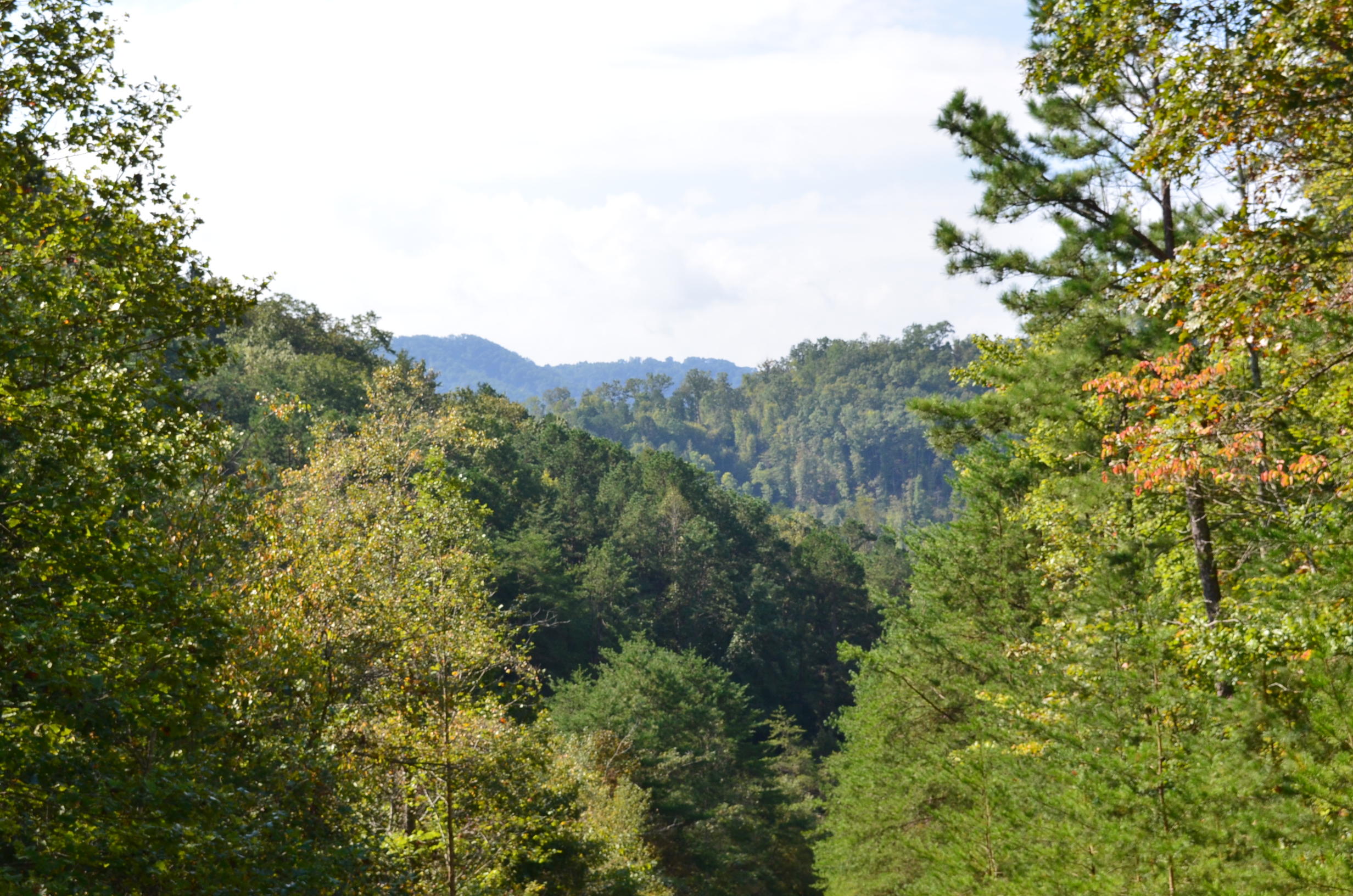0 West Poor Valley Road Rogersville, TN 37857 - Photo 40 of 40 DSC_0216