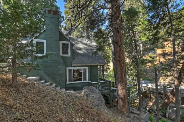 a view of a tree in a yard