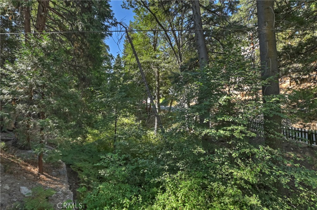 29591 Hook Creek Road Cedar Glen, CA 92321 - Photo 35 of 43 a view of a tree in a yard