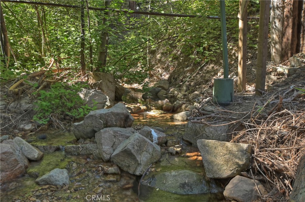 29591 Hook Creek Road Cedar Glen, CA 92321 - Photo 40 of 43 a view of a tree with a yard