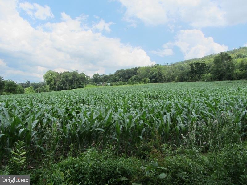 183 Spain Road Lykens, PA 17048 - Photo 10 of 26 Gallery Image 10
