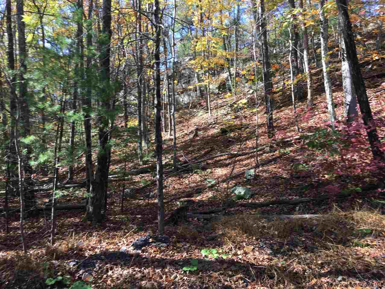 125 Ruby Road Kingston, NY 12401 - Photo 12 of 28 Photo 12