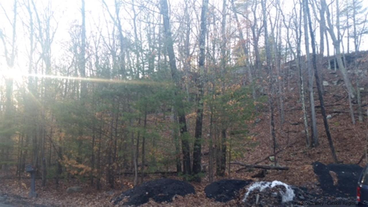 125 Ruby Road Kingston, NY 12401 - Photo 25 of 28 Photo 25