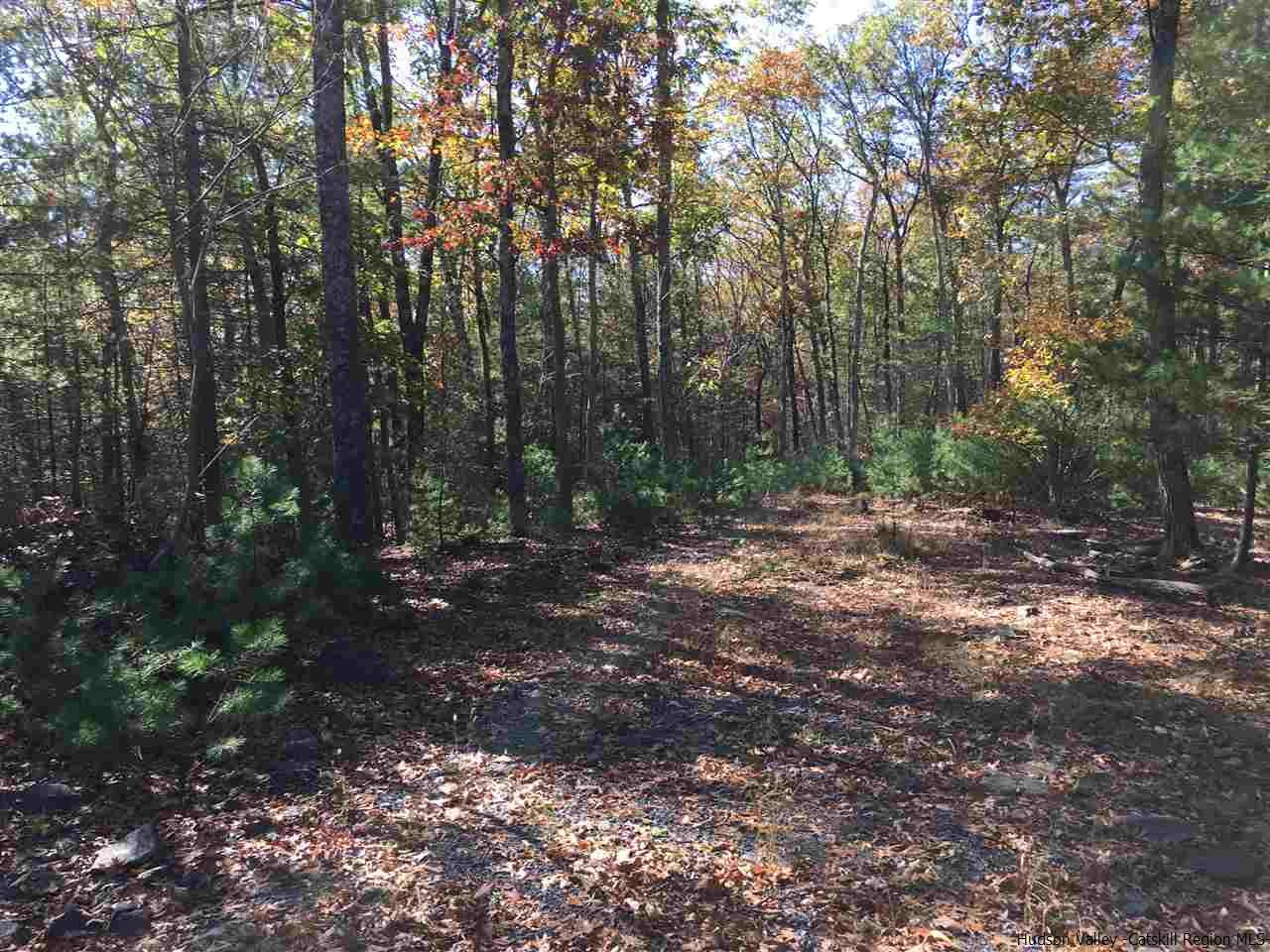 125 Ruby Road Kingston, NY 12401 - Photo 7 of 28 Photo 7