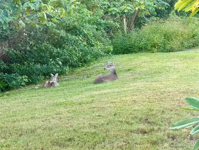 a fire hydrant in the middle of a field