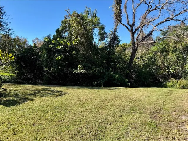 a view of a yard with a trees