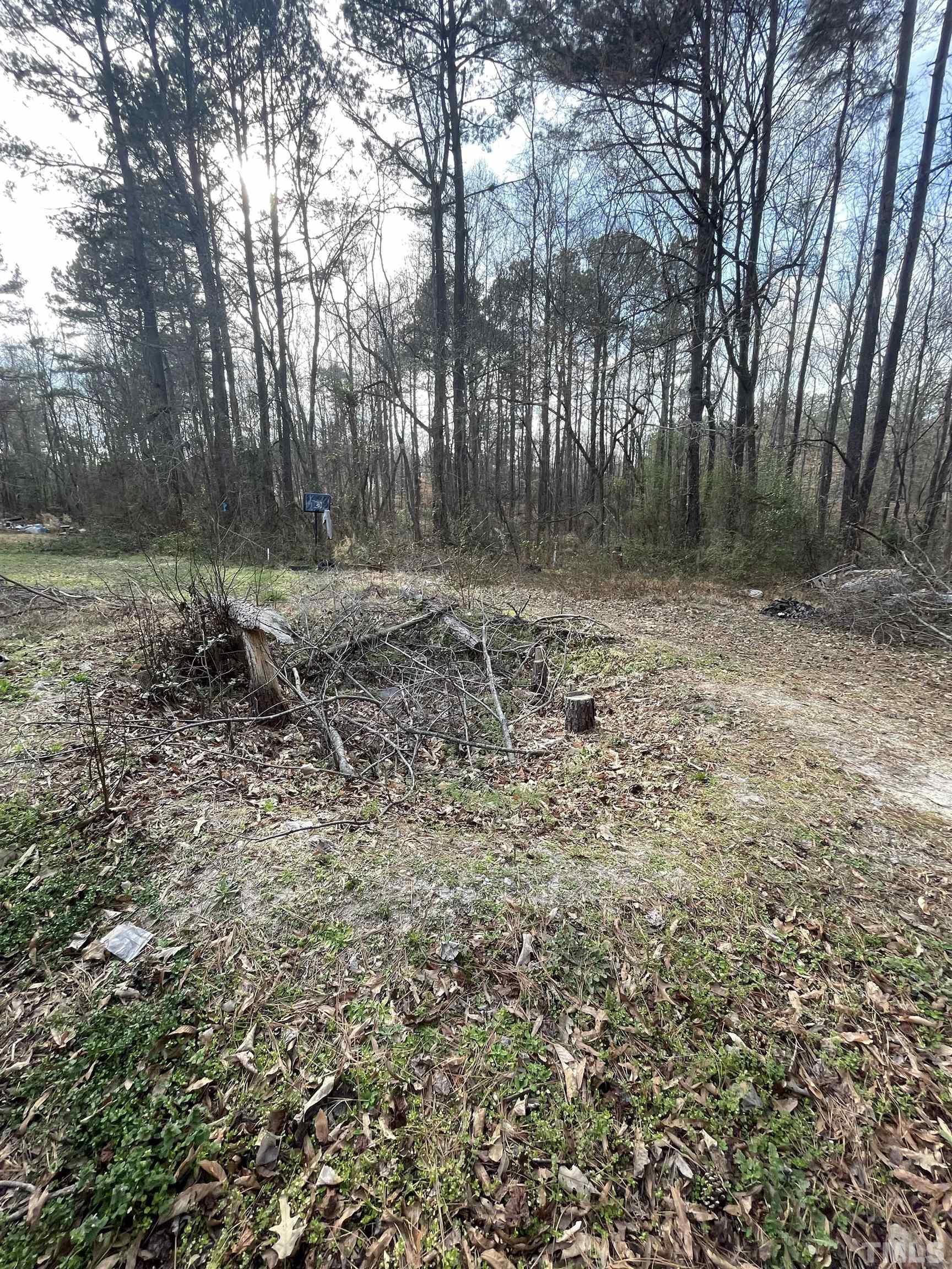 242 Mulberry Road Spring Hope, NC 27882 - Photo 3 of 3 Gallery Image 3