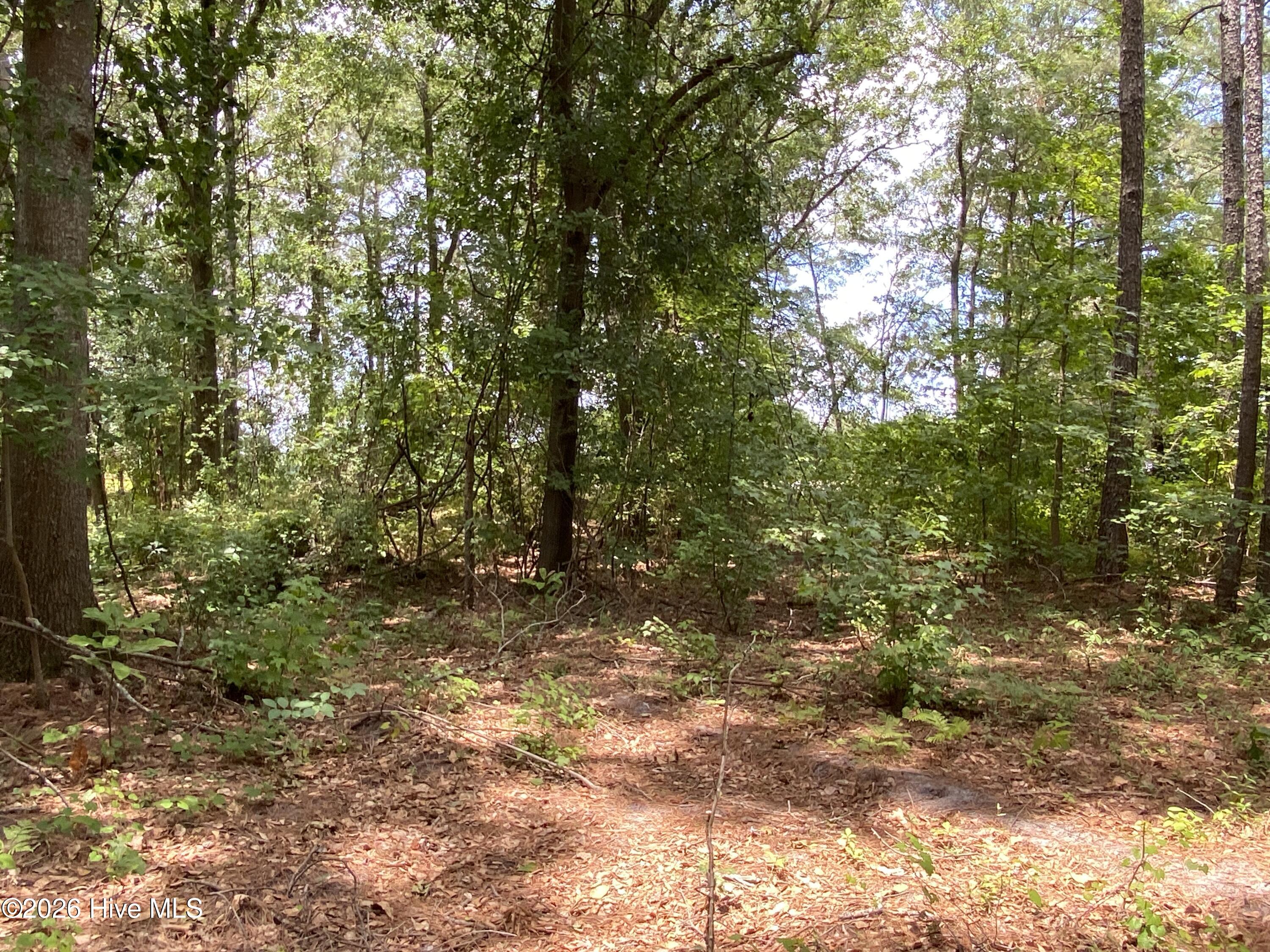 Tbd Hayne Stretch Road Roseboro, NC 28382 - Photo 19 of 31