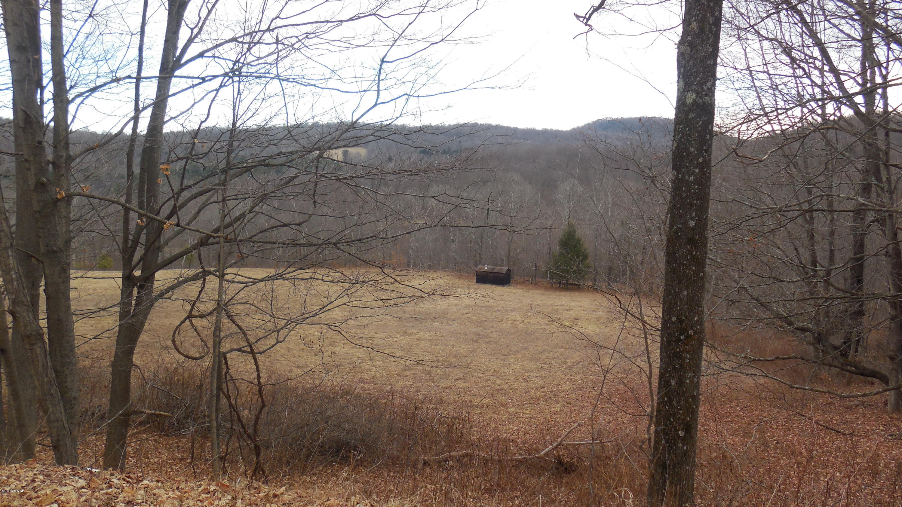 352 Hellmers Hill Road Equinunk, PA 18417 - Photo 2 of 34