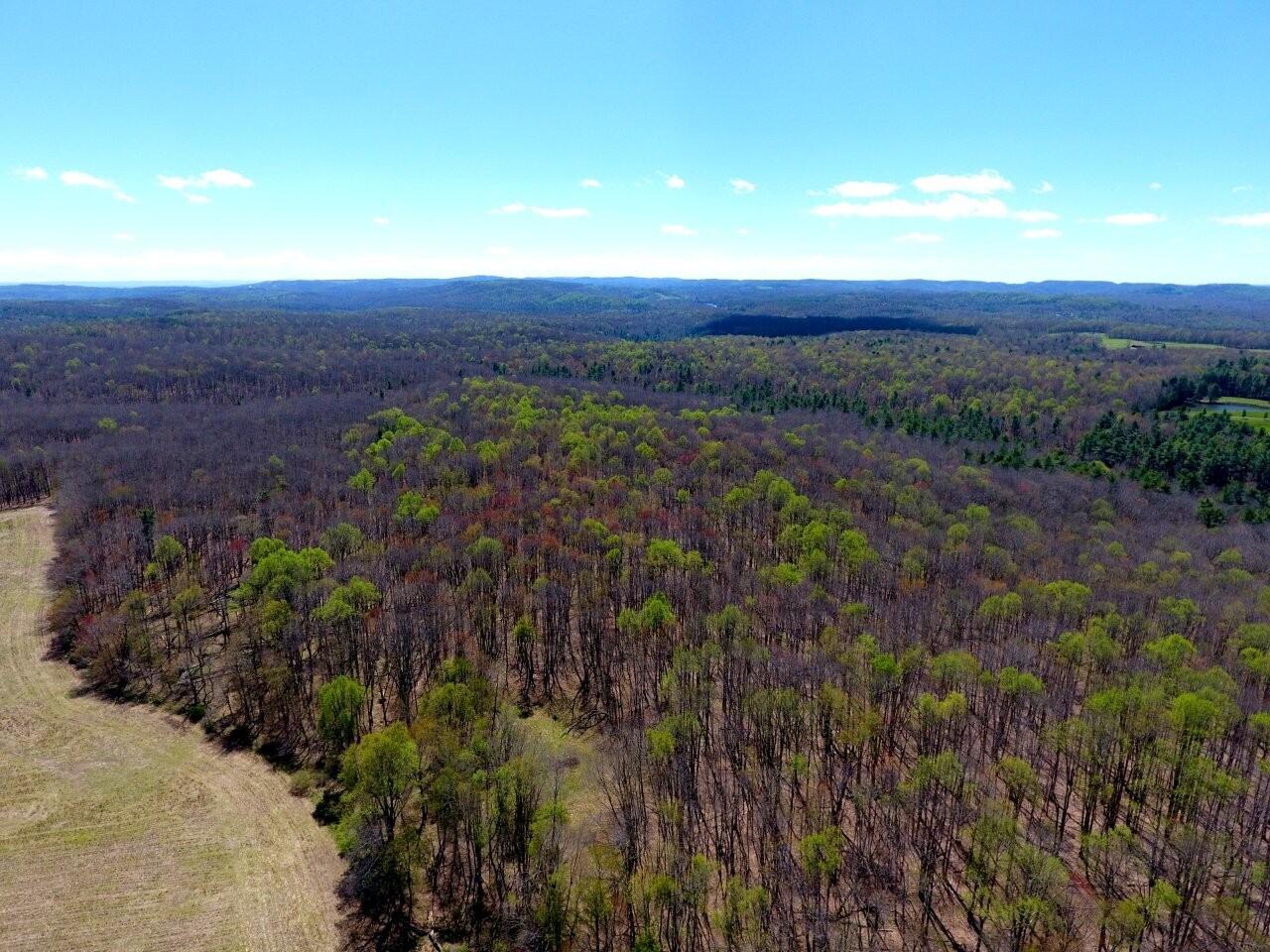 0 Iona Road White Oak, WV 25989 - Photo 16 of 16 Tract-16-Looking-Towards-19-DJI_0005