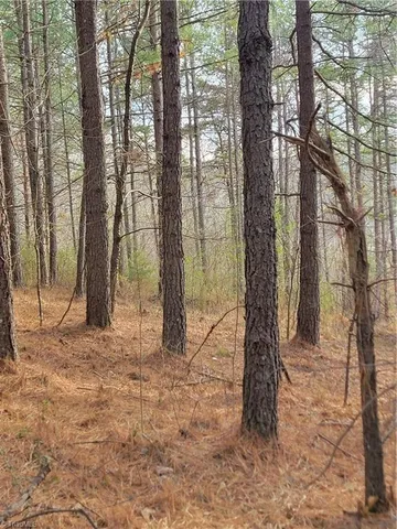 $205,000 | 1671 Bowen Road, Pinnacle, NC 27043