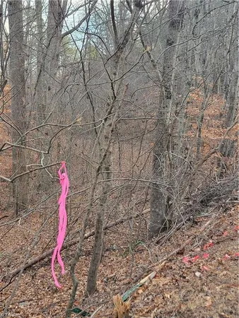 $205,000 | 1671 Bowen Road, Pinnacle, NC 27043