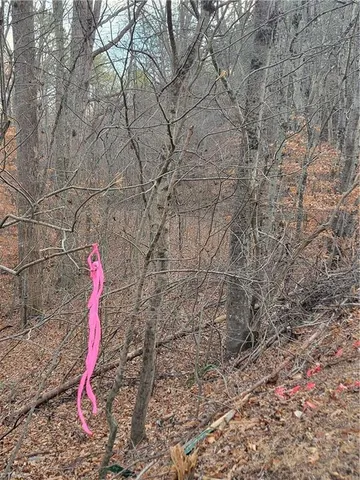 $205,000 | 1671 Bowen Road, Pinnacle, NC 27043