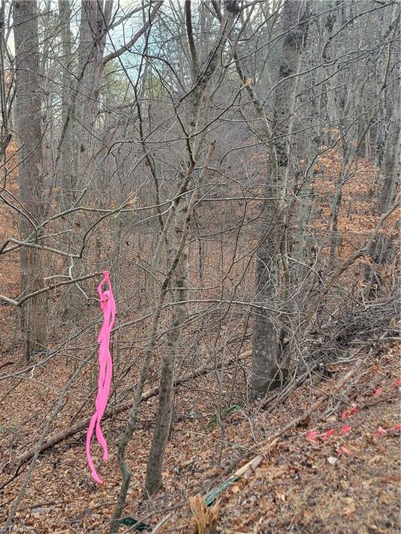 1671 Bowen Road Pinnacle, NC 27043 - Photo 13 of 17 the Old Road Bed intersecting the Paved Bowen Road