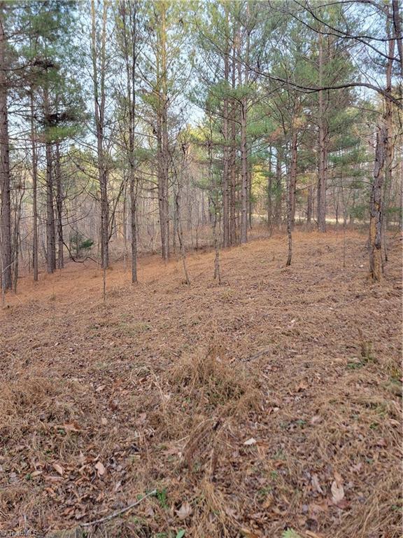 1671 Bowen Road Pinnacle, NC 27043 - Photo 14 of 17 a potential building site