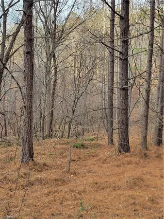 $205,000 | 1671 Bowen Road, Pinnacle, NC 27043