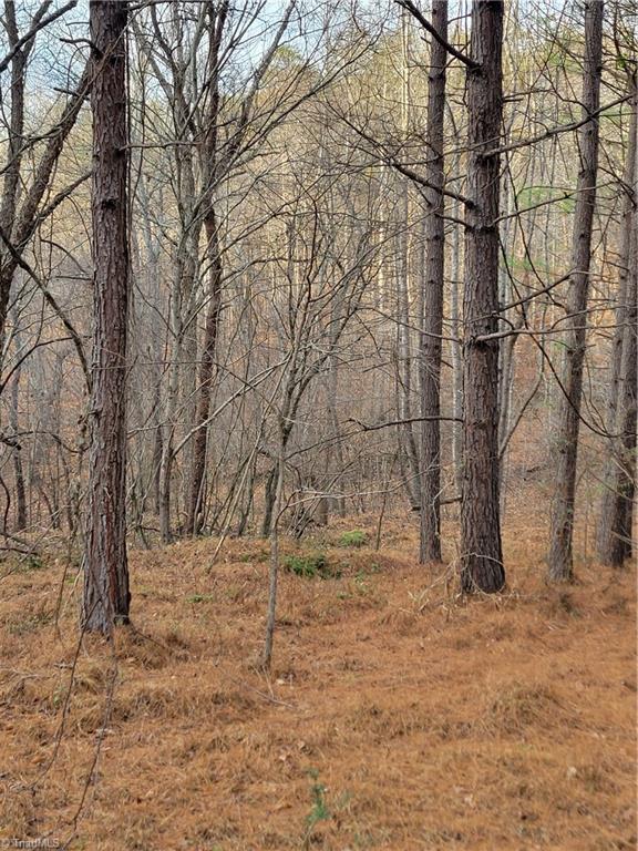 1671 Bowen Road Pinnacle, NC 27043 - Photo 15 of 17